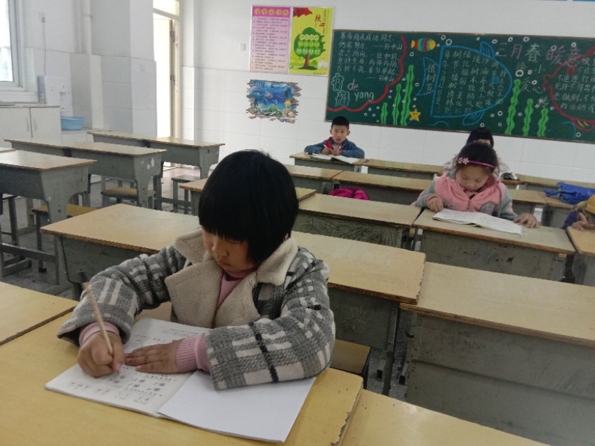 不上辅导班怎么提高成绩,辅导班真的可以提高成绩吗