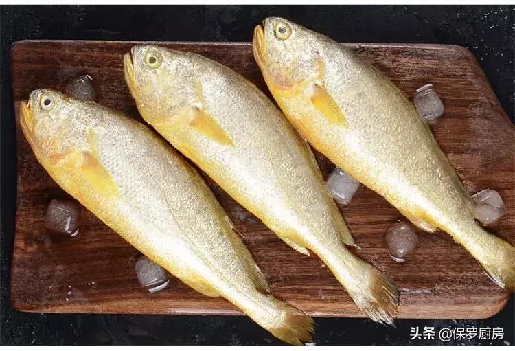 海鲜大荟萃,常见贝壳类海鲜