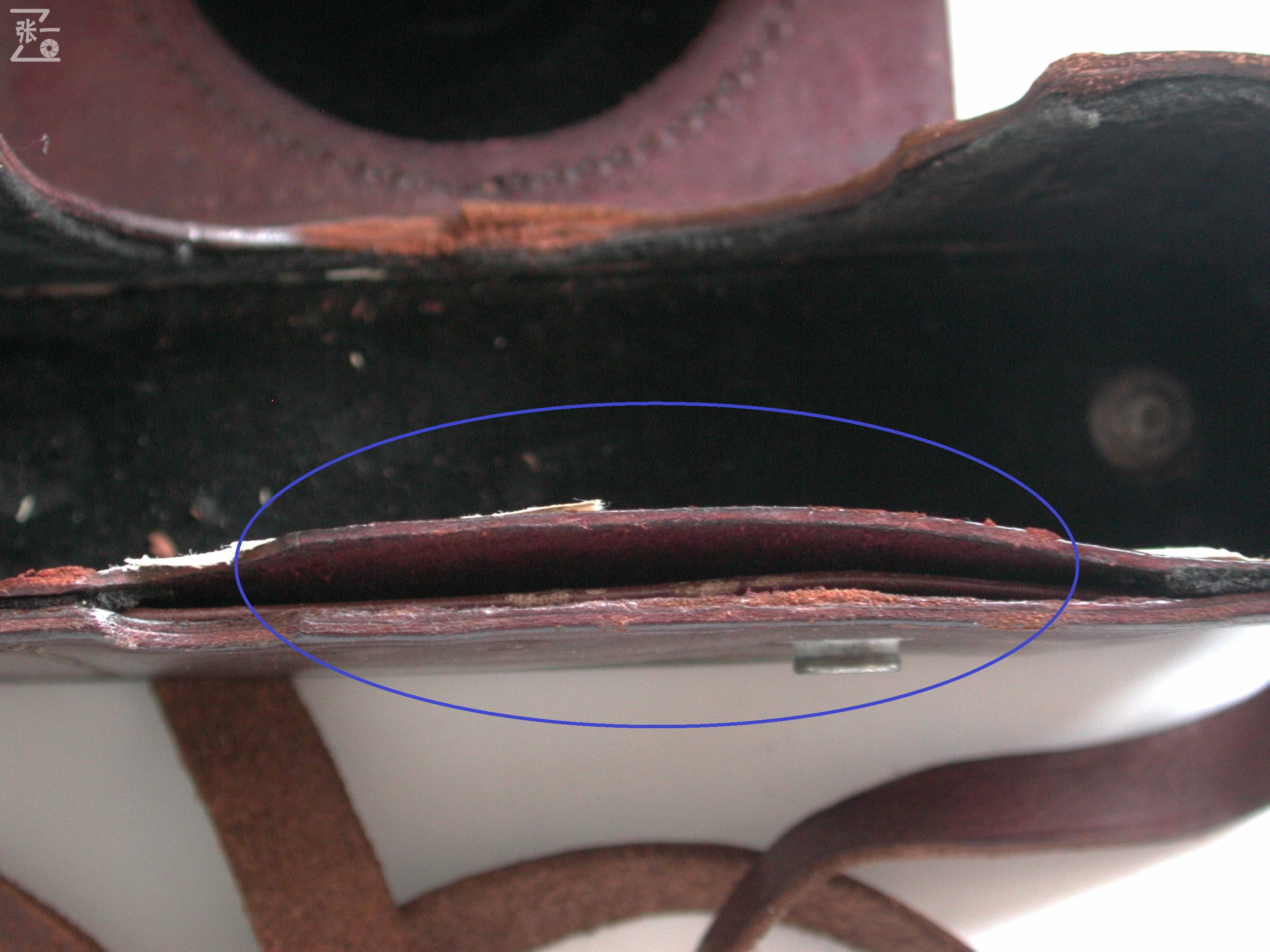 上海照相机厂60年代,上海58型照相机