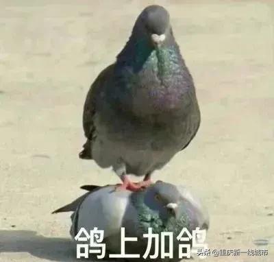 置业顾问真的能赚很多钱吗,为什么售房置业顾问那么赚钱