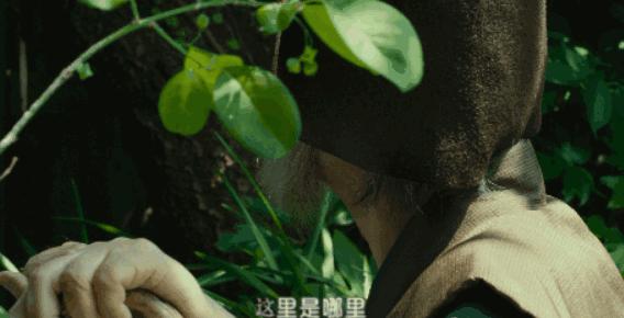 没想到日本国宝级画家，竟过着这样的生活！