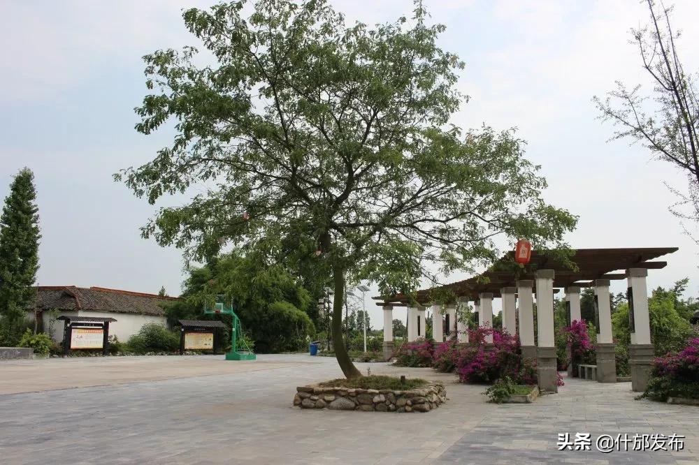 不负好春光文章,不负好春光的上一句