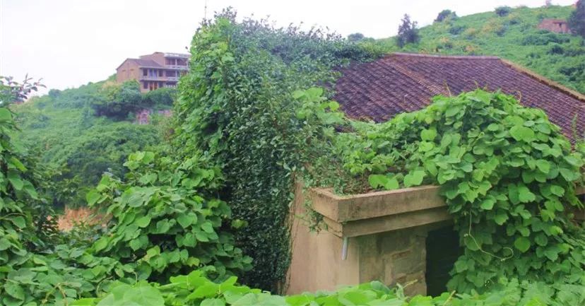 比厦门安静的海滨城市,比厦门安静10倍