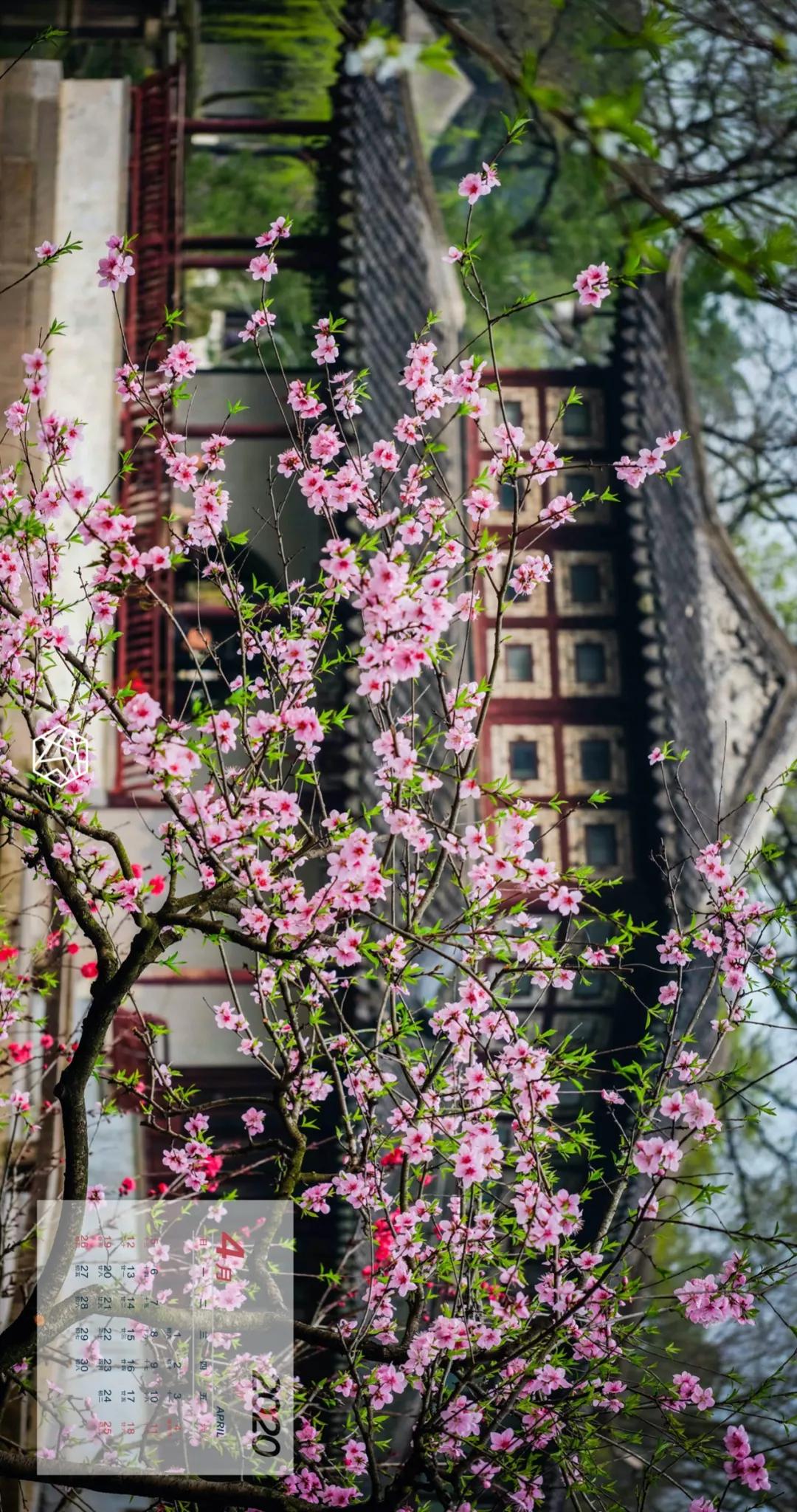 新年横屏壁纸2023超高清壁纸,苏州壁纸横屏