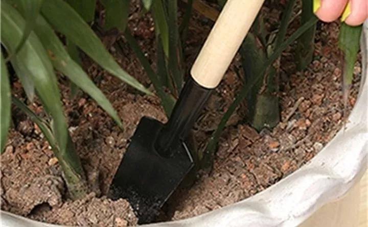 养花技巧土壤板结,养花小技巧土壤变酸变碱