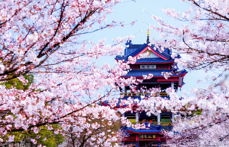 最适合冬天去的旅行城市,最适合春天旅行的城市