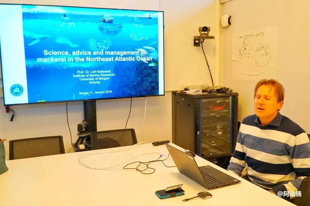 为了吃最贵的鱼你们会驱车多远,世界上最难吃的鱼青花鱼