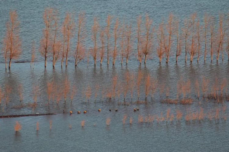 这座低调的小城，凭什么跻身云南6大国家历史文化名城之列？