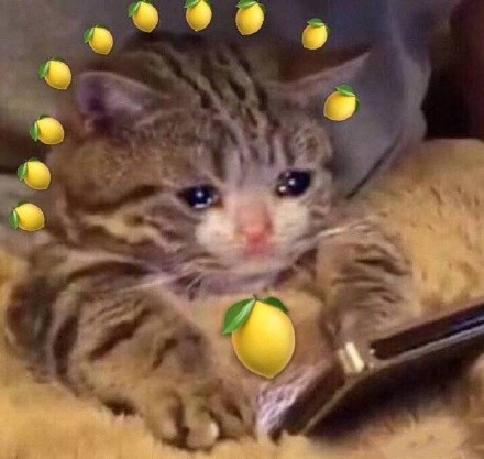 被柠檬酸到的表情包,柠檬酸酸的表情包