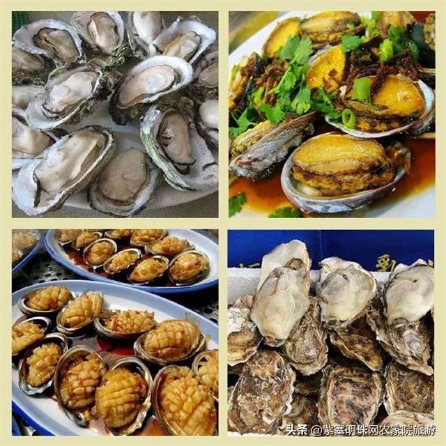 去赶海抓螃蟹海边淋雨捡贝壳,来海边抓螃蟹拾贝壳