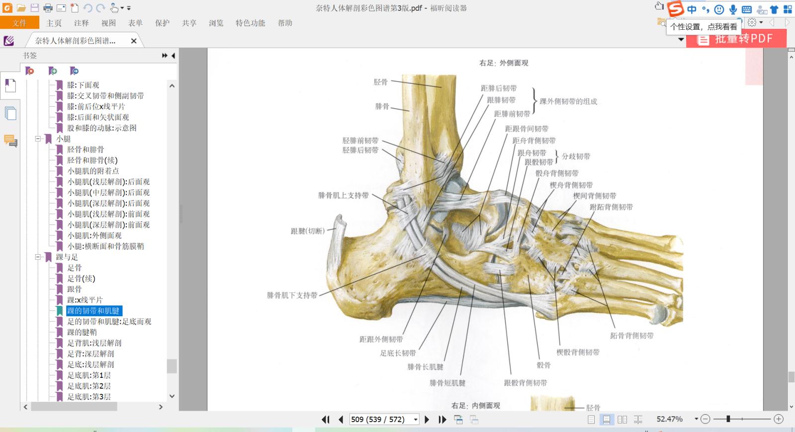 治疗筋伤的膏药,治伤筋止痛的膏药