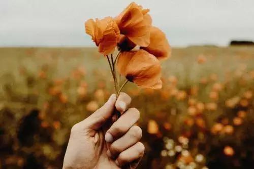 负心人跟人跑了你怎么才能“弄死”他(她)