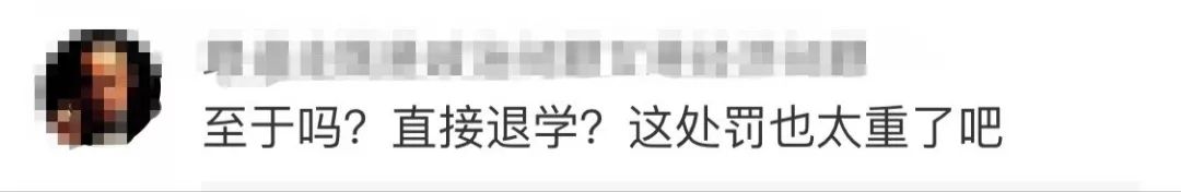 高校研究生杀流浪狗,成都高校研究生虐狗事件