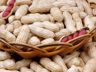 年货你都备齐了吗？除了红包和食物，这些常用药物也可派上大用场