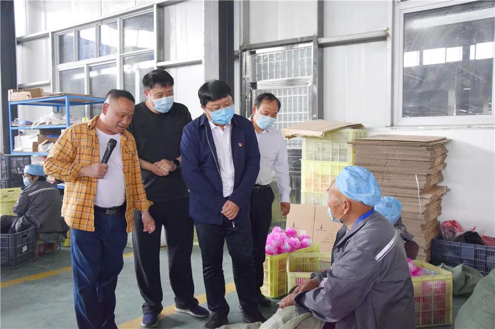 长葛贫困户脱贫有招：*款贷**养羊、*款贷**承包蔬菜大棚、*款贷**嘣爆米花…