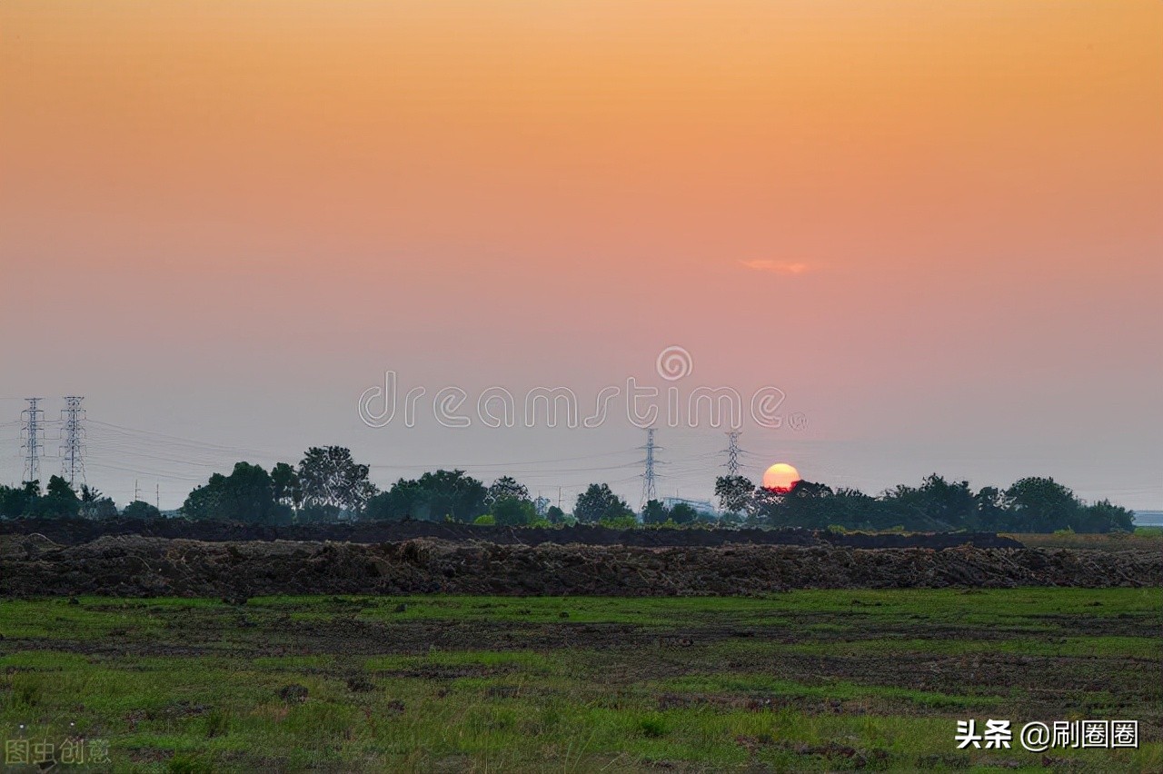 六年级作文一单元变形记范文,六上第一单元作文变形记优秀范文
