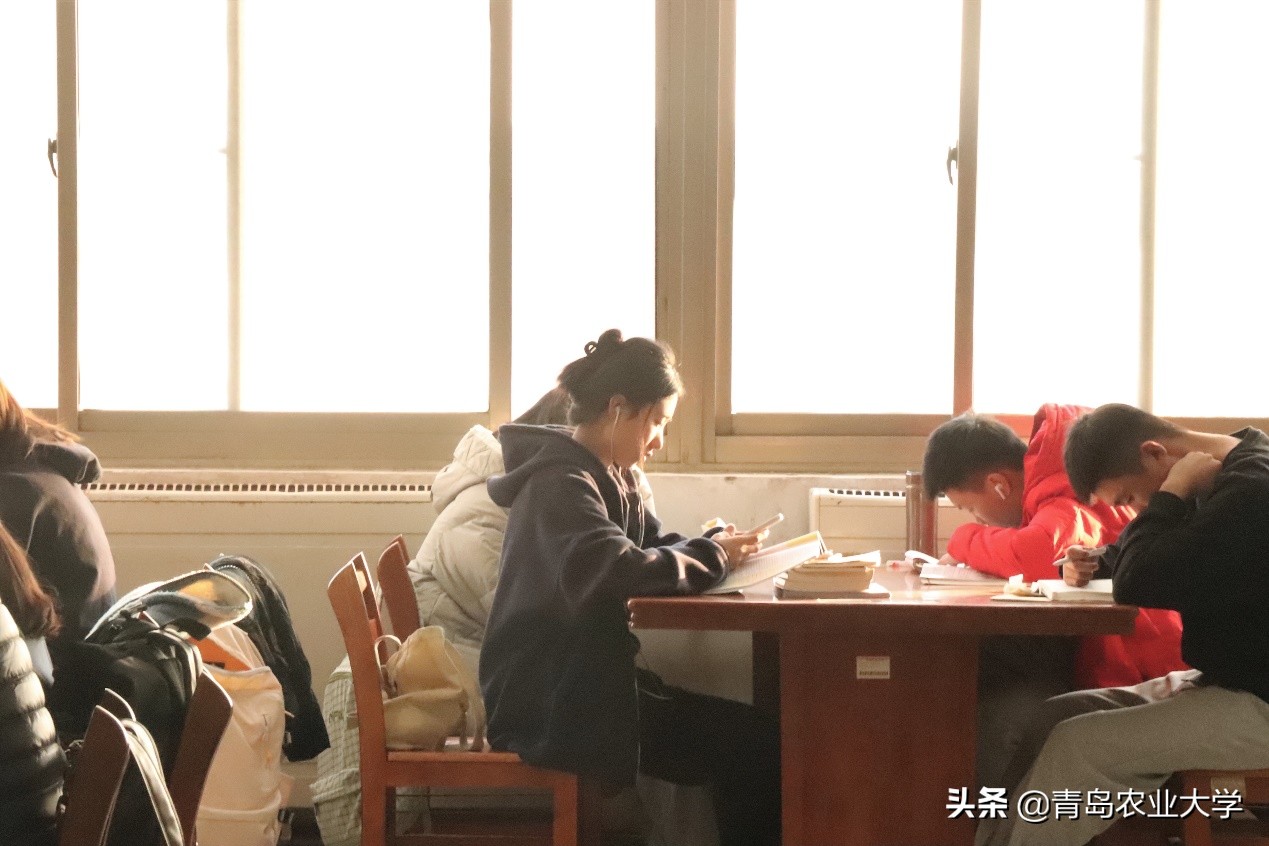 介绍青岛农业大学,令人心动的青岛