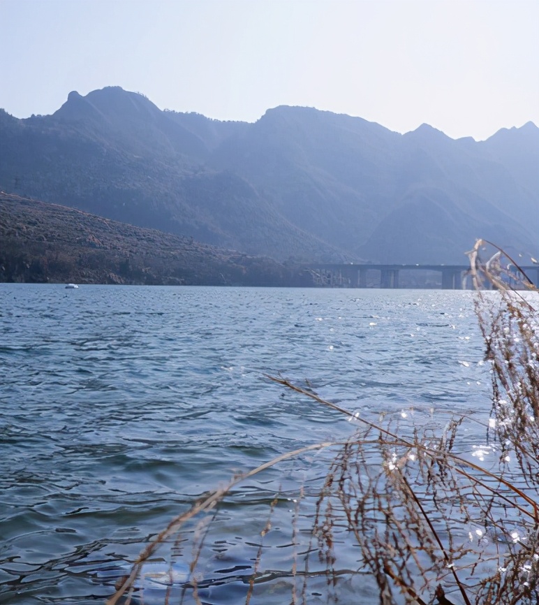 永嘉楠溪江民宿推荐,永嘉楠溪江民宿推荐10人左右整栋