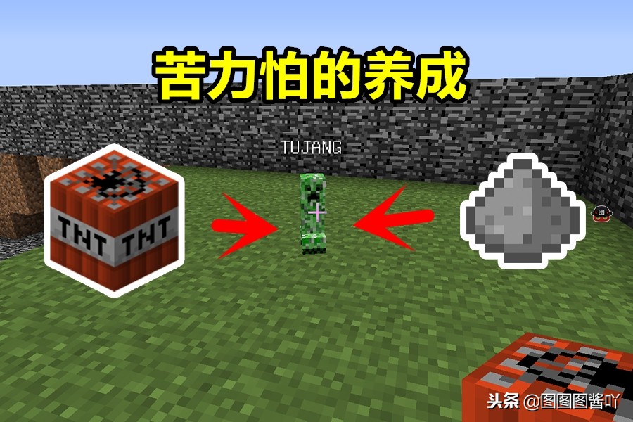 我的世界怎么养苦力怕当宠物,我的世界小苦力怕怎么当宠物