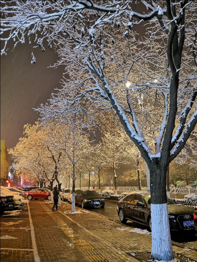 冬之韵23,冬之韵