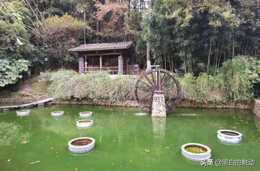 景德镇为什么能成为御窑,瓷都景德镇瓷器