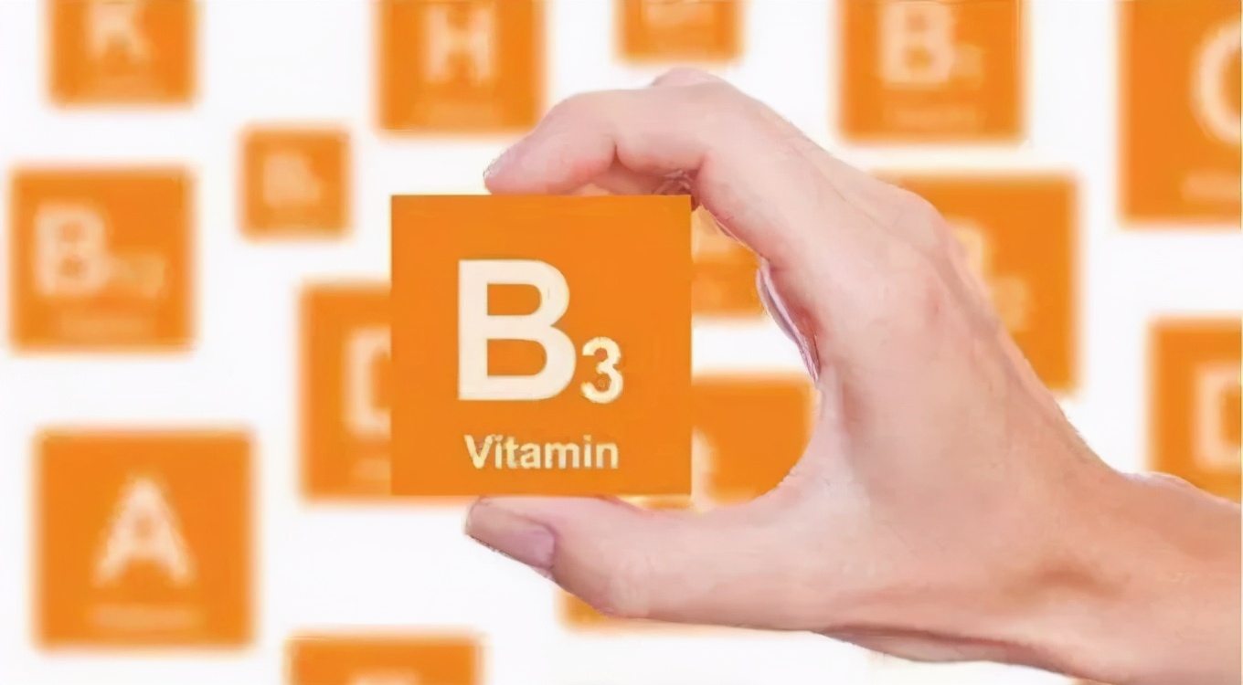 成分烟酰胺的精华能淡斑吗,成分表里的烟酰胺排第几位好