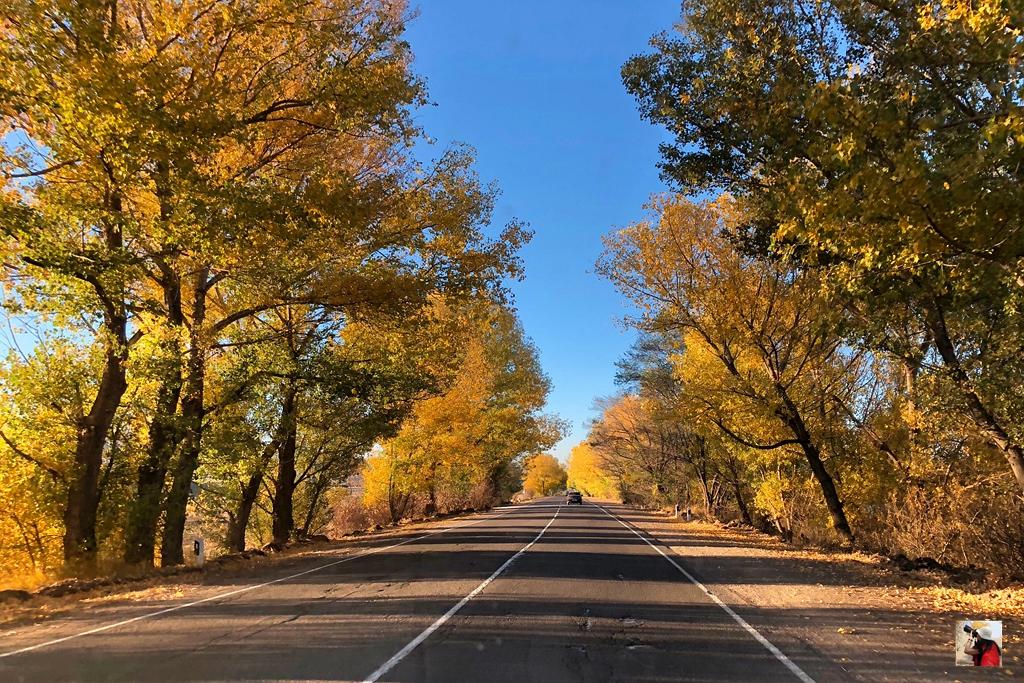 外高加索旅游攻略,走进神秘波斯伊朗超详细旅游攻略