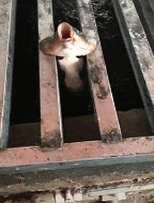 刚从后院挖出来的，大家帮我鉴定一下，我是不是要发财了？