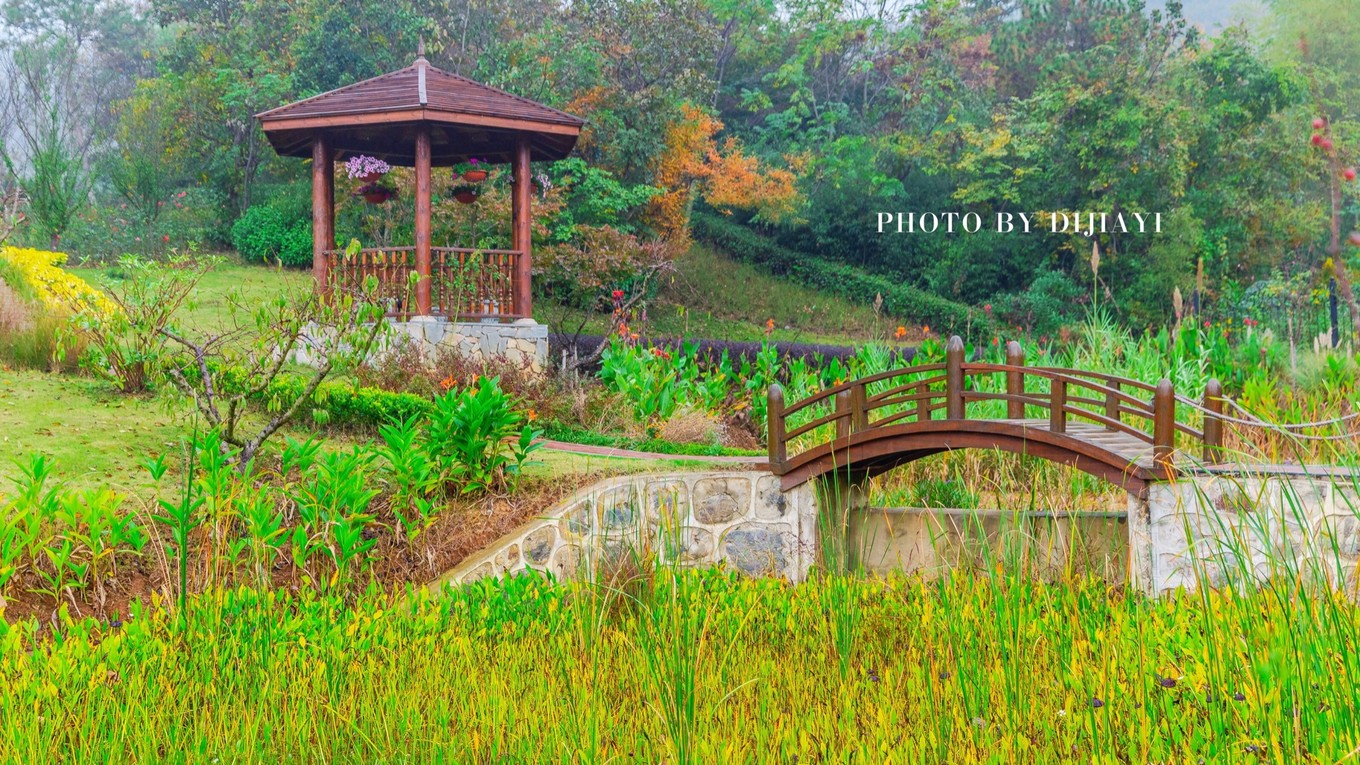 金坛花谷奇缘几月开花,金坛花谷奇缘地图