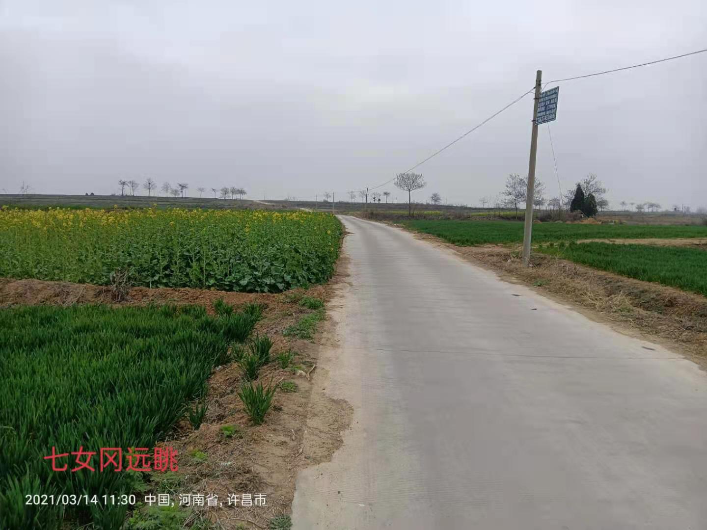 黄台遗址,千年古县寻古探幽全面展示