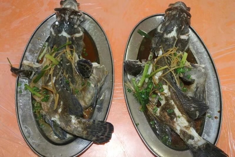 海边美食推荐旅游攻略,海边旅游美食风景攻略