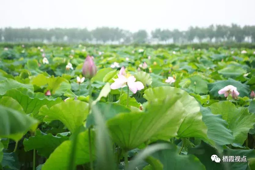 没时间解释了快上车粤语,没时间解释了快上车