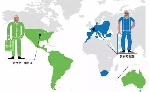 启智说说|“人人都该知道的葡萄酒基础知识”分享