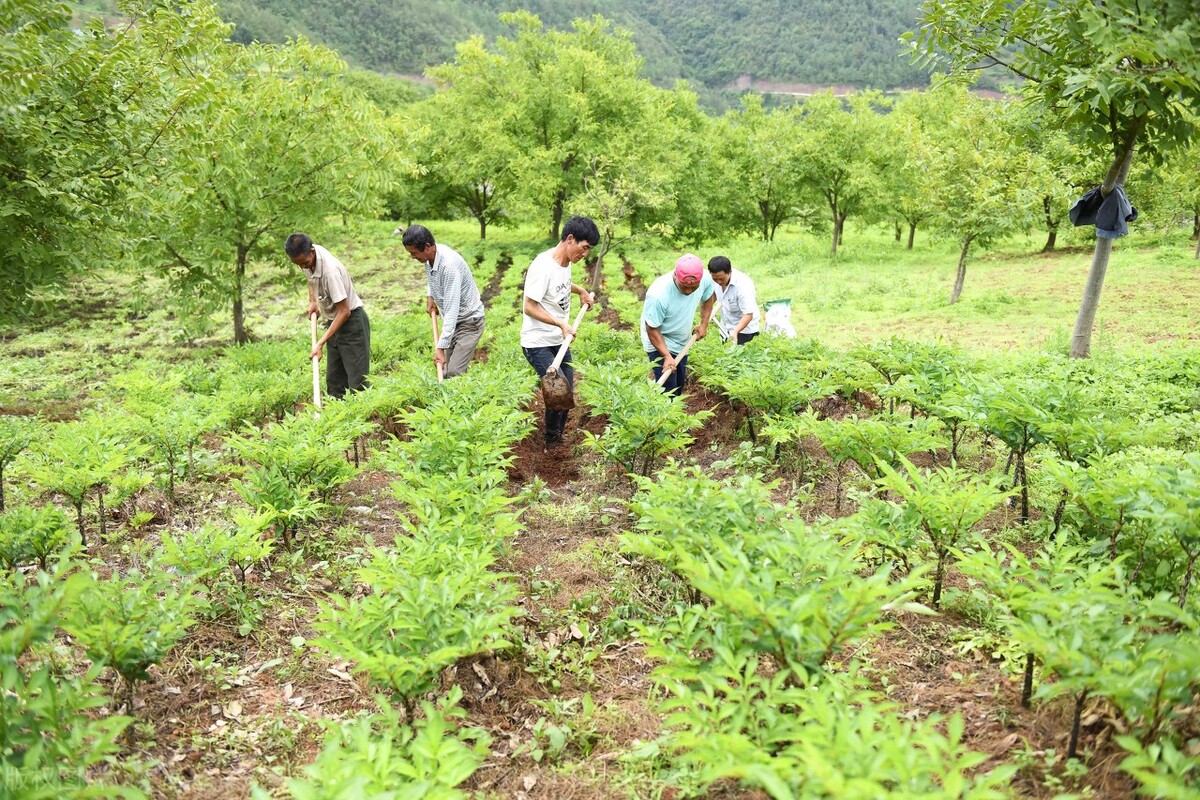 1亩地盈利10000,1亩地赚500元70亩地一年赚多少钱
