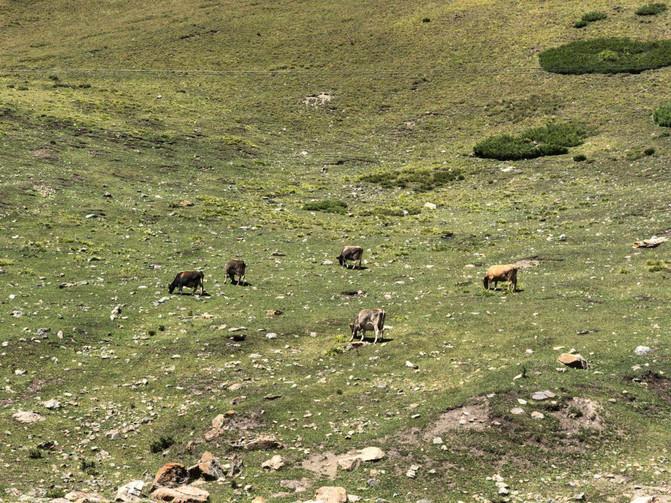 出游大美新疆第十四天,郑州周边2-3天短途旅游亲子11月