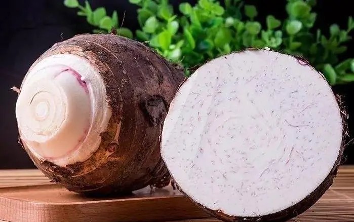 芋头好吃的品种,芋头好吃排行