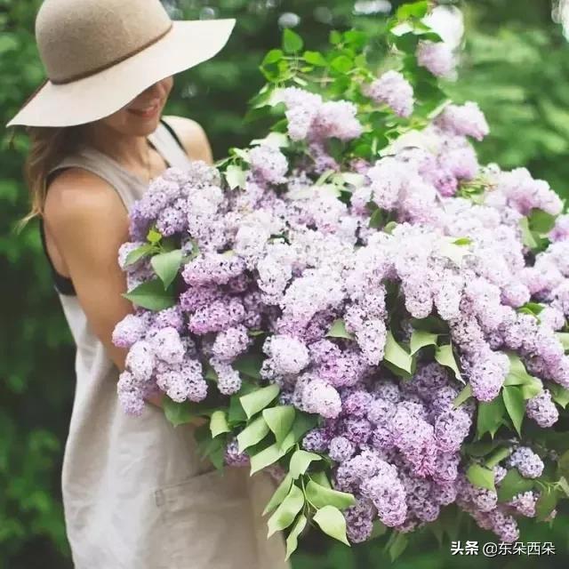 女人为什么喜欢花?这个520,你订花了吗?