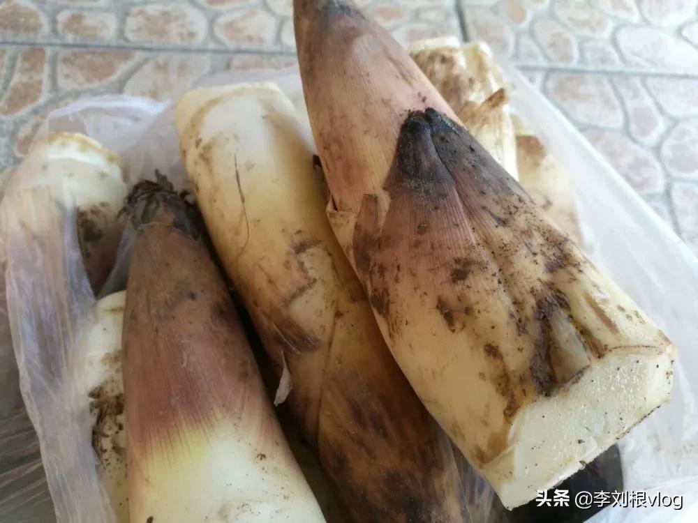 泡椒竹笋的做法简单好吃,竹笋雪菜做法简单又好吃