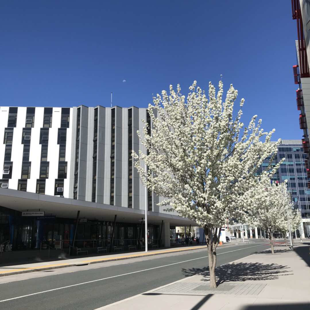 澳国立大学专业排名,澳国立qs排名下降还值得去吗