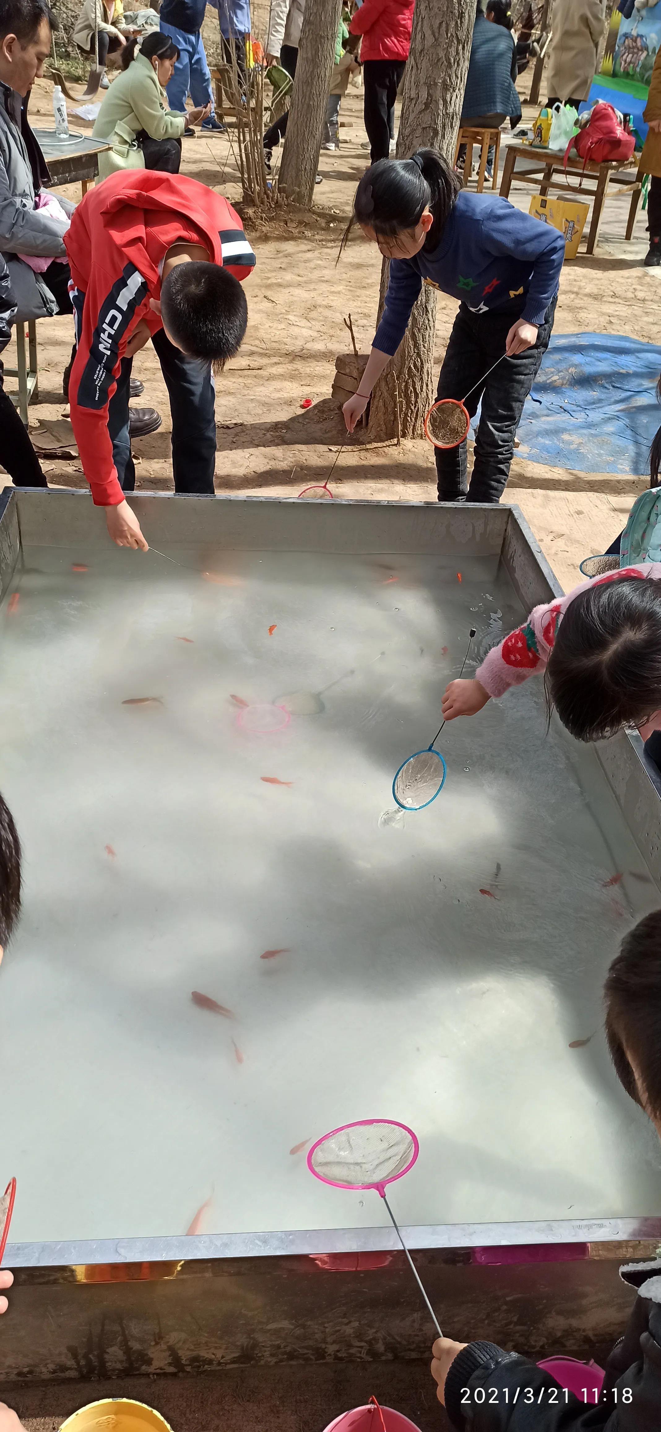 周山森林公园有啥玩的,周山森林公园游乐场招商