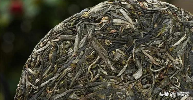 云南古树茶有名的有哪几种,云南十大古树茶是哪些