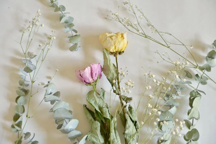 制作干花最好的季节,自制干花什么方法比较好