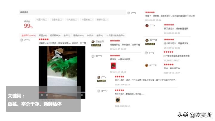 欧赛斯带你全方位洞察甲鱼市场发展趋势及竞争格局