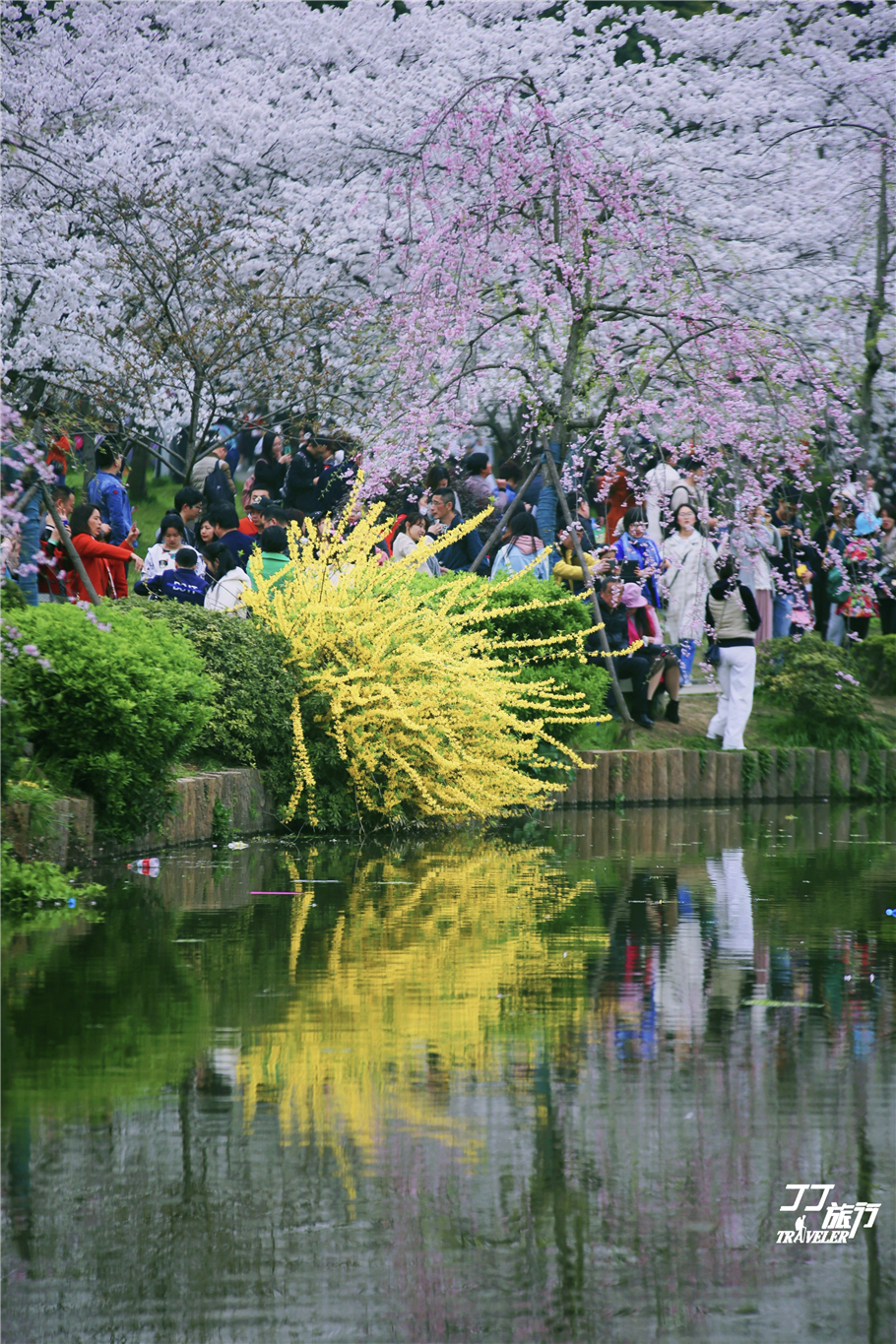 武汉东湖樱花园是世界几大樱花园,世界三大樱花园