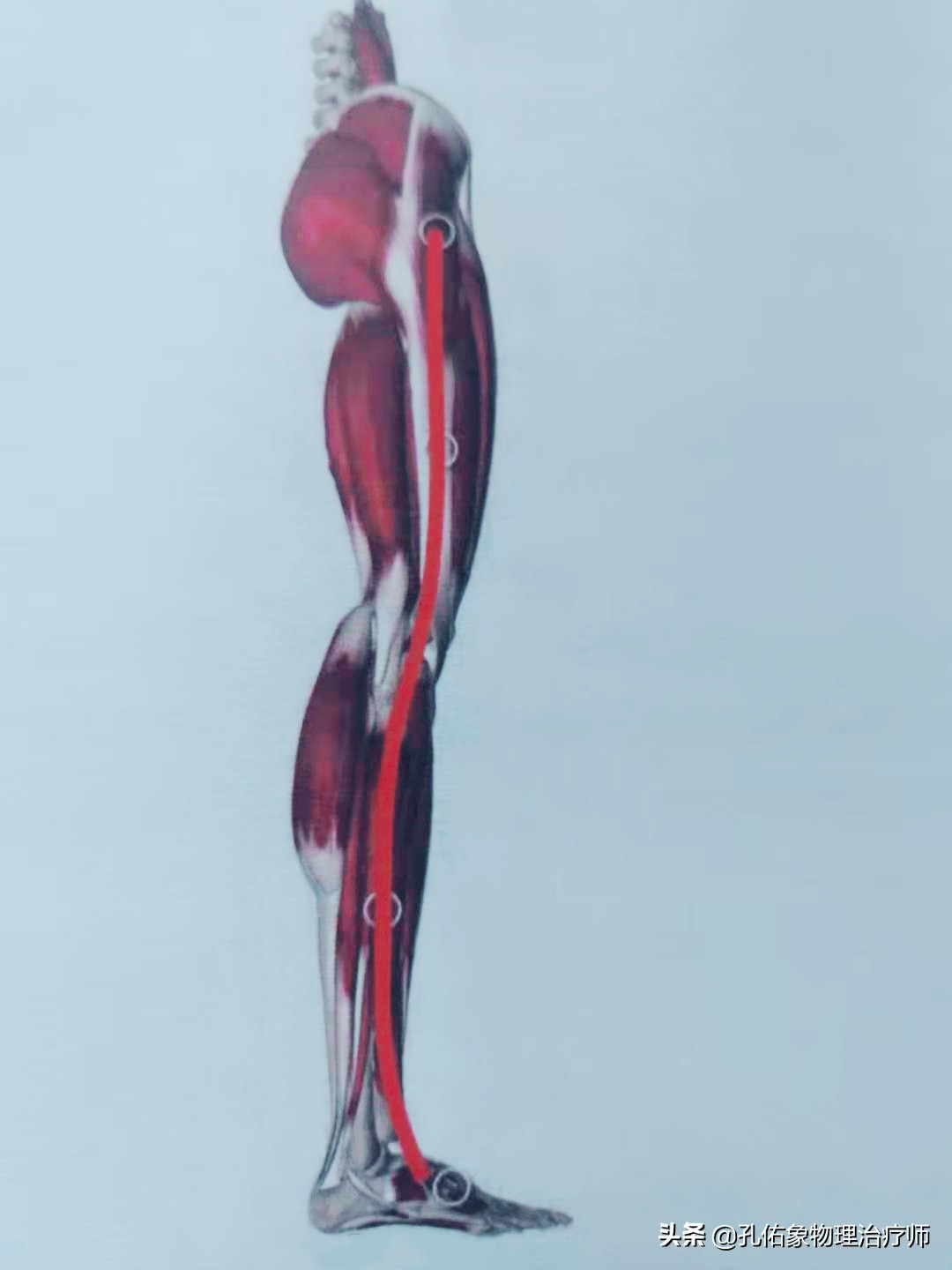 臀部疼痛腿麻怎么治疗效果好,臀部腰疼痛怎么回事