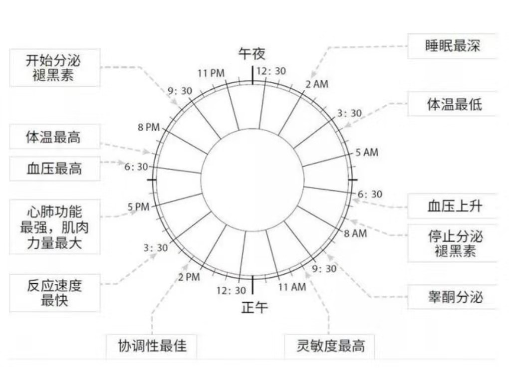 一分钟快速入睡法拯救熬夜失眠,熬夜睡不着怎么恢复正常睡眠