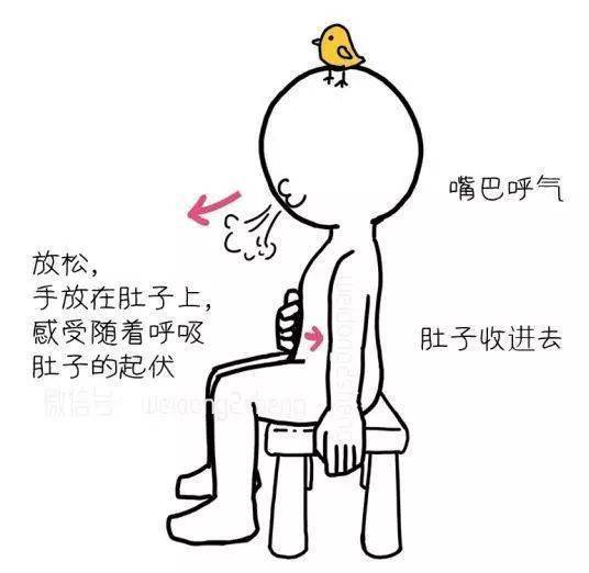 没时间去健身房怎么学瑜伽,没有午休快速恢复的瑜伽动作