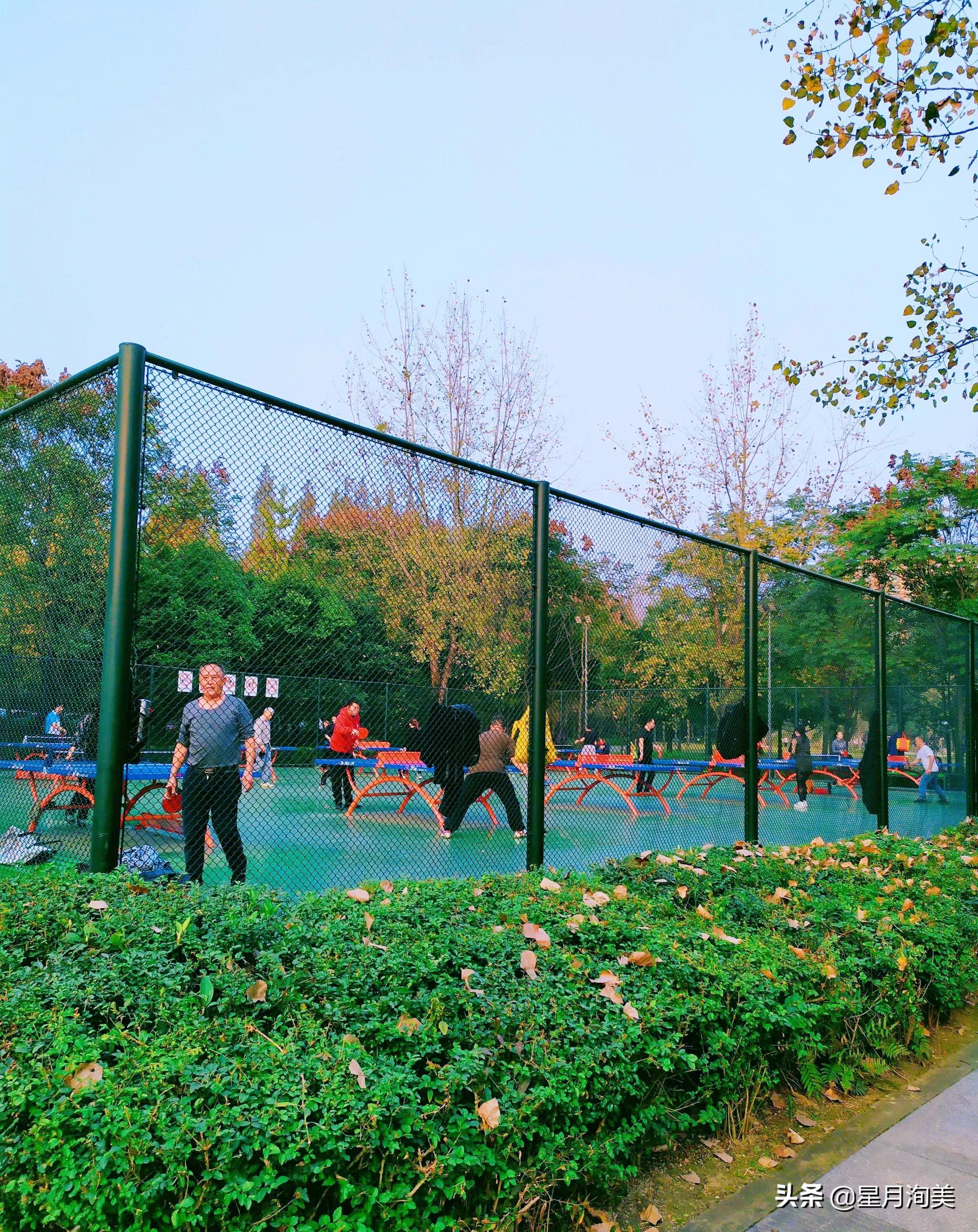 成都小众但值得去的地方,成都必打卡的30个小众上镜地