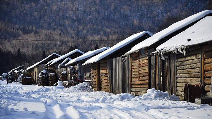 毒蝎进村的真实事件,毒蝎进村的真实原因