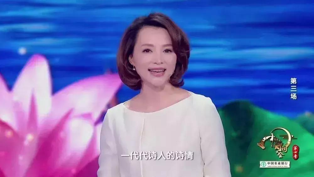 中国诗词大会董卿开场白蒹葭苍苍,董卿主持中国诗词大会开场白评价